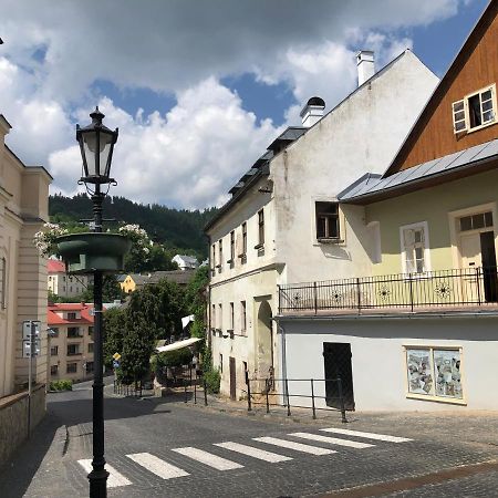 Banská Štiavnica Apartman Vila Rosenberg מראה חיצוני תמונה